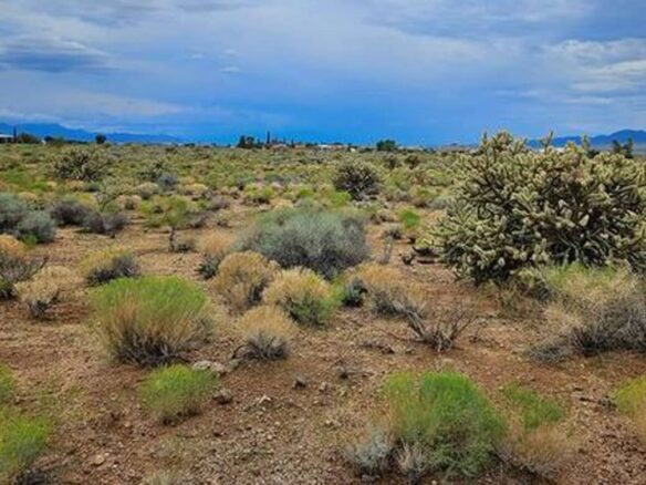 Raw land for sale in mohave county, arizona, USA