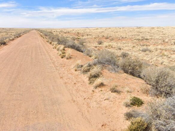 Raw land for sale in navajo county, Arizona, USA