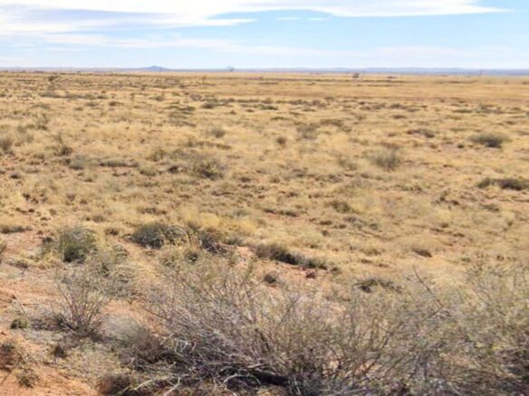 Raw land for sale in navajo county, Arizona, USA