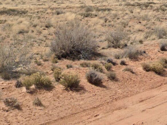 Raw land for sale in navajo county, Arizona, United states of America