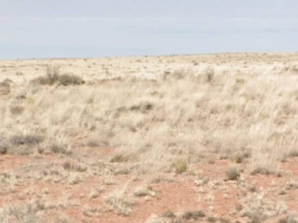 Raw land for sale in navajo county, Arizona, USA