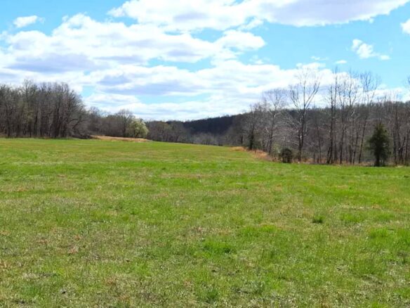 Raw land for sale in Izard county, Arkansas, USA