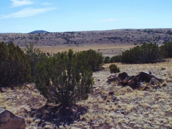 Raw land for sale in apache county, arizona, USA