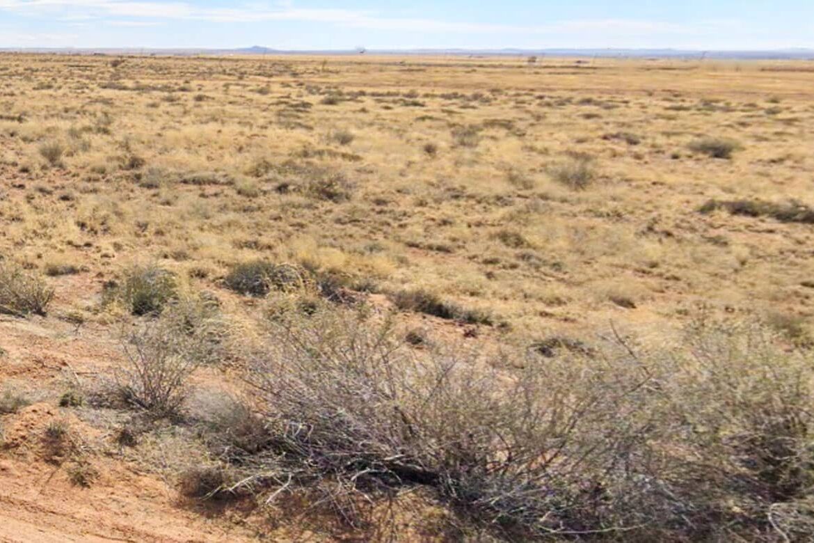 Raw land for sale in navajo county, Arizona, USA