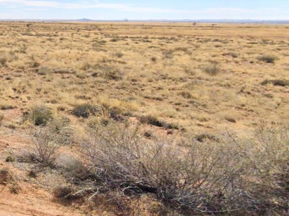 Raw land for sale in navajo county, Arizona, USA