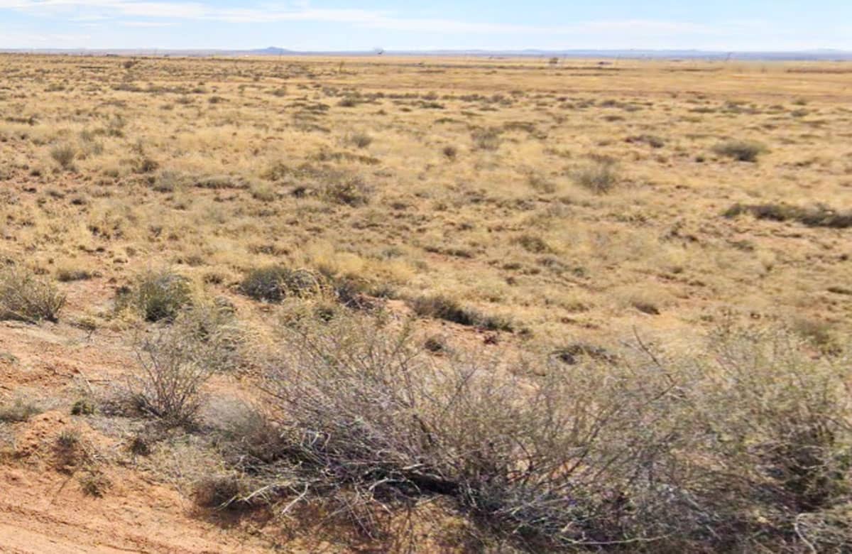 Raw land for sale in navajo county, Arizona, USA