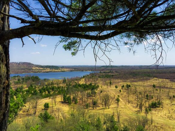 Raw land for sale in elko county, nevada, USA