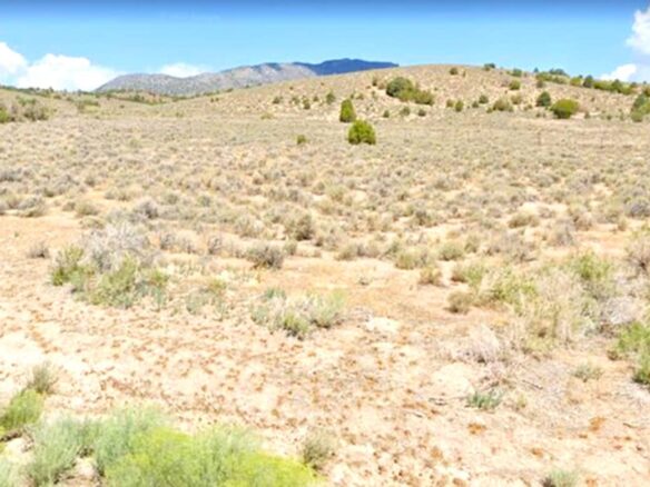 Raw land for sale in Elko county, Nevada, USA