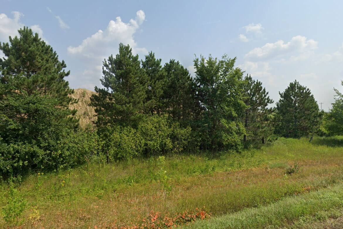 Raw land for sale in Todd county, Minnesota