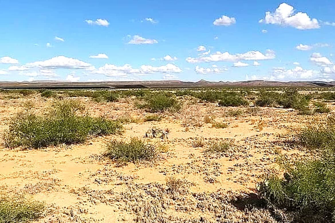 Raw land for sale in Hudspeth county, Texas, USA