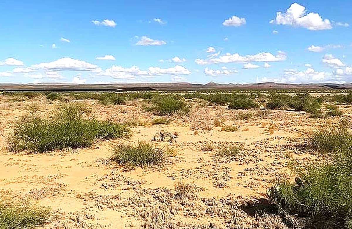 Raw land for sale in Hudspeth county, Texas, USA