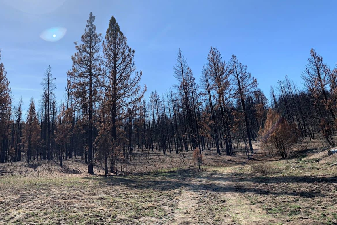 OR-Klamath-3511-014A0-08100