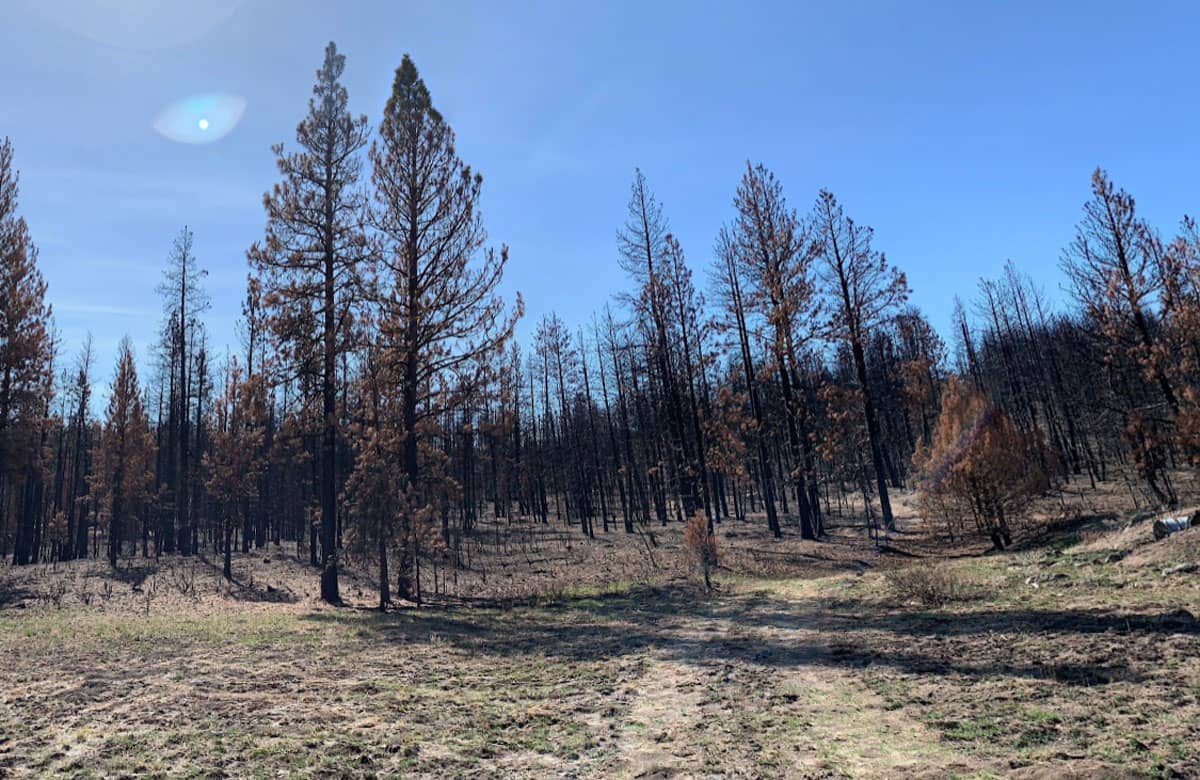 OR-Klamath-3511-014A0-08100