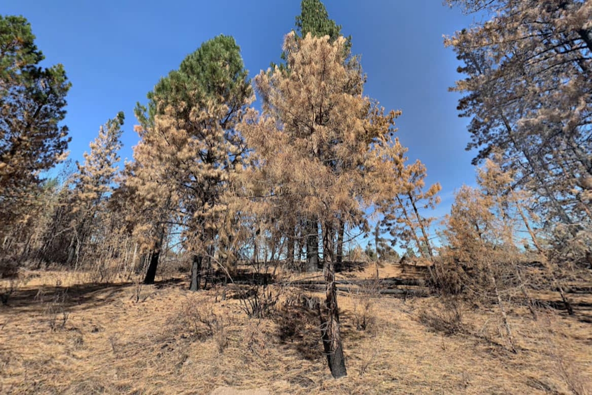 OR-Klamath-3511-014A0-08100