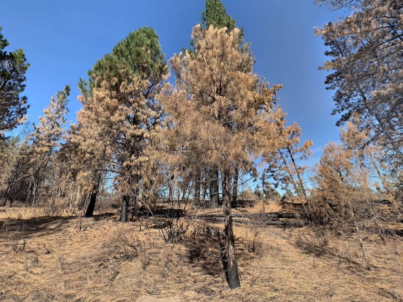 OR-Klamath-3511-014A0-08100