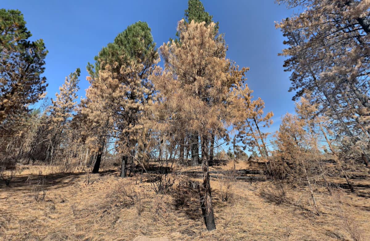 OR-Klamath-3511-014A0-08100