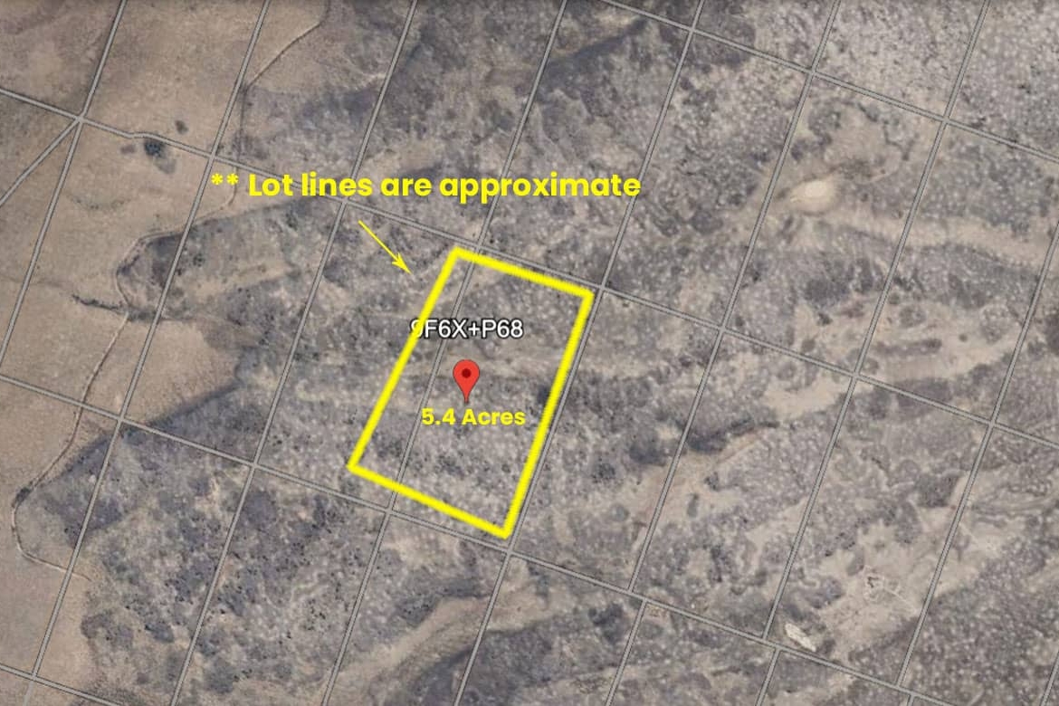 CO-Costilla-70317220