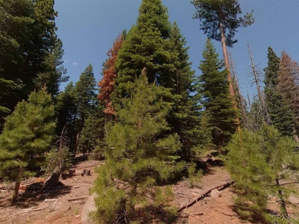 CA-Modoc-041-012-028-000