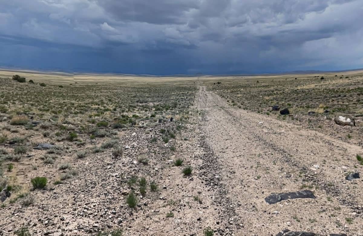 CO-Costilla-70317220