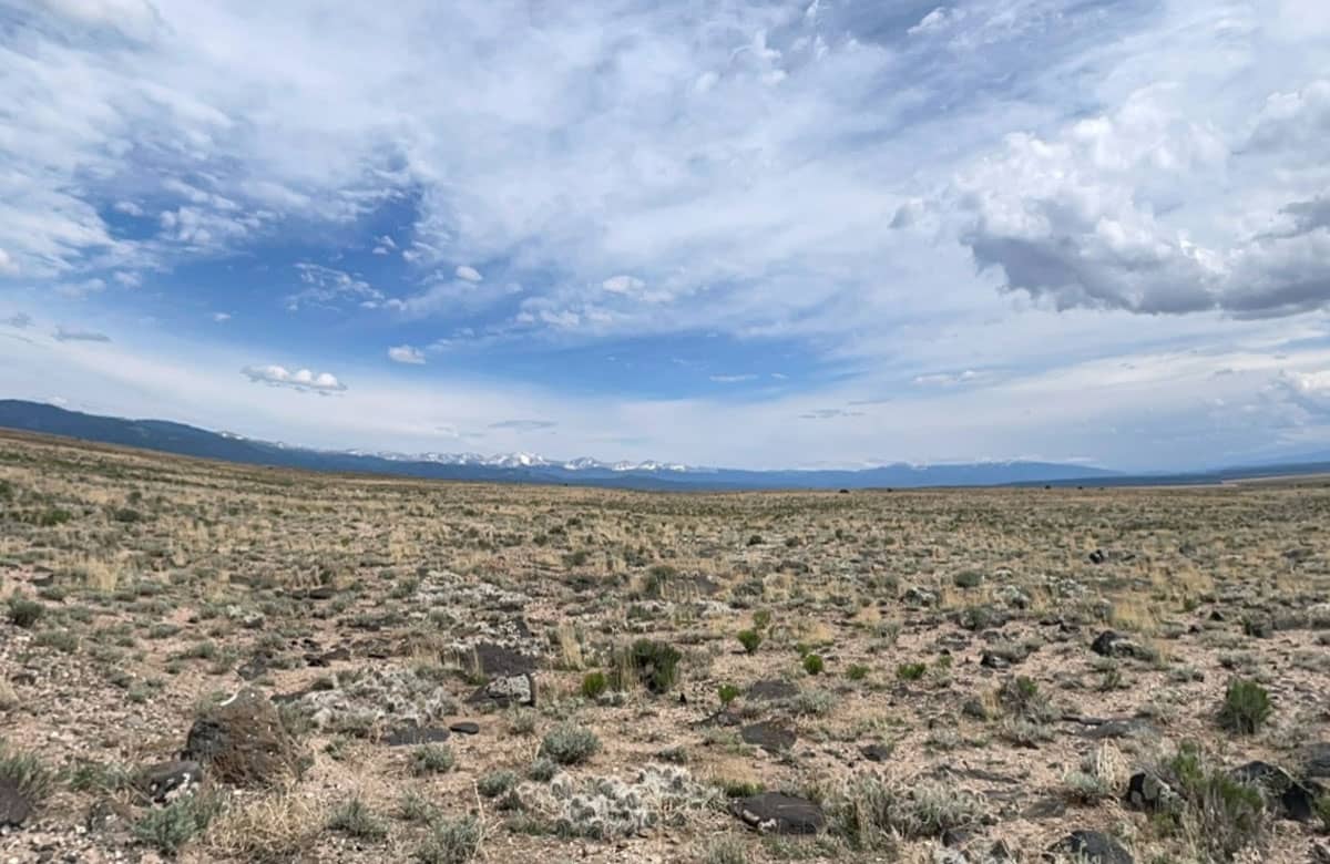 CO-Costilla-70317220