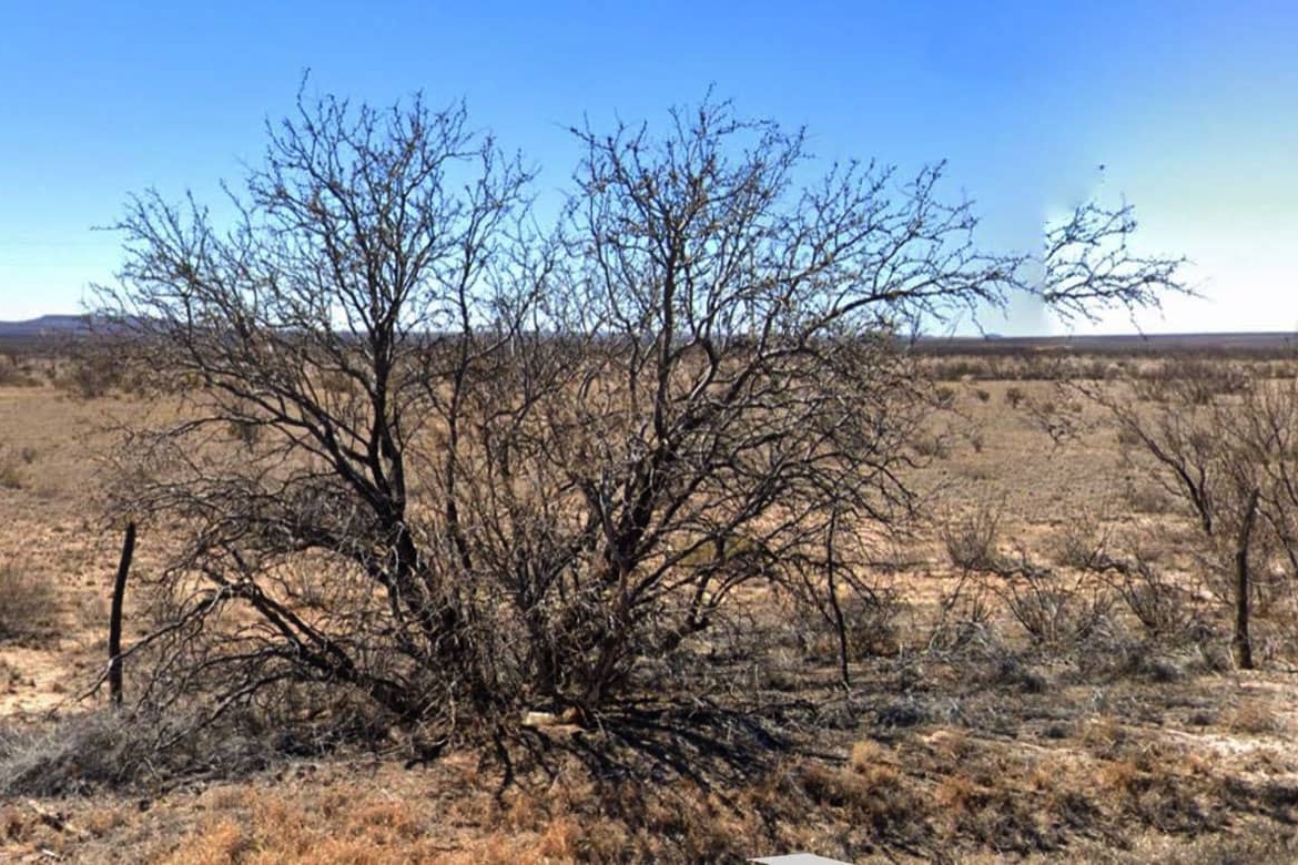 TX-Hudspeth-S951-457-0000-00100