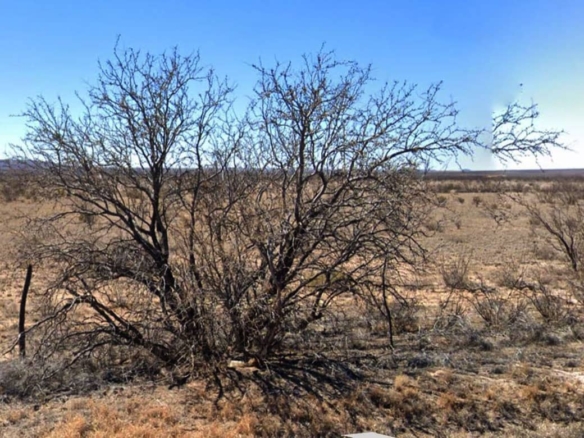 TX-Hudspeth-S951-457-0000-00100