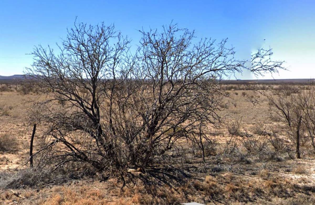 TX-Hudspeth-S951-457-0000-00100