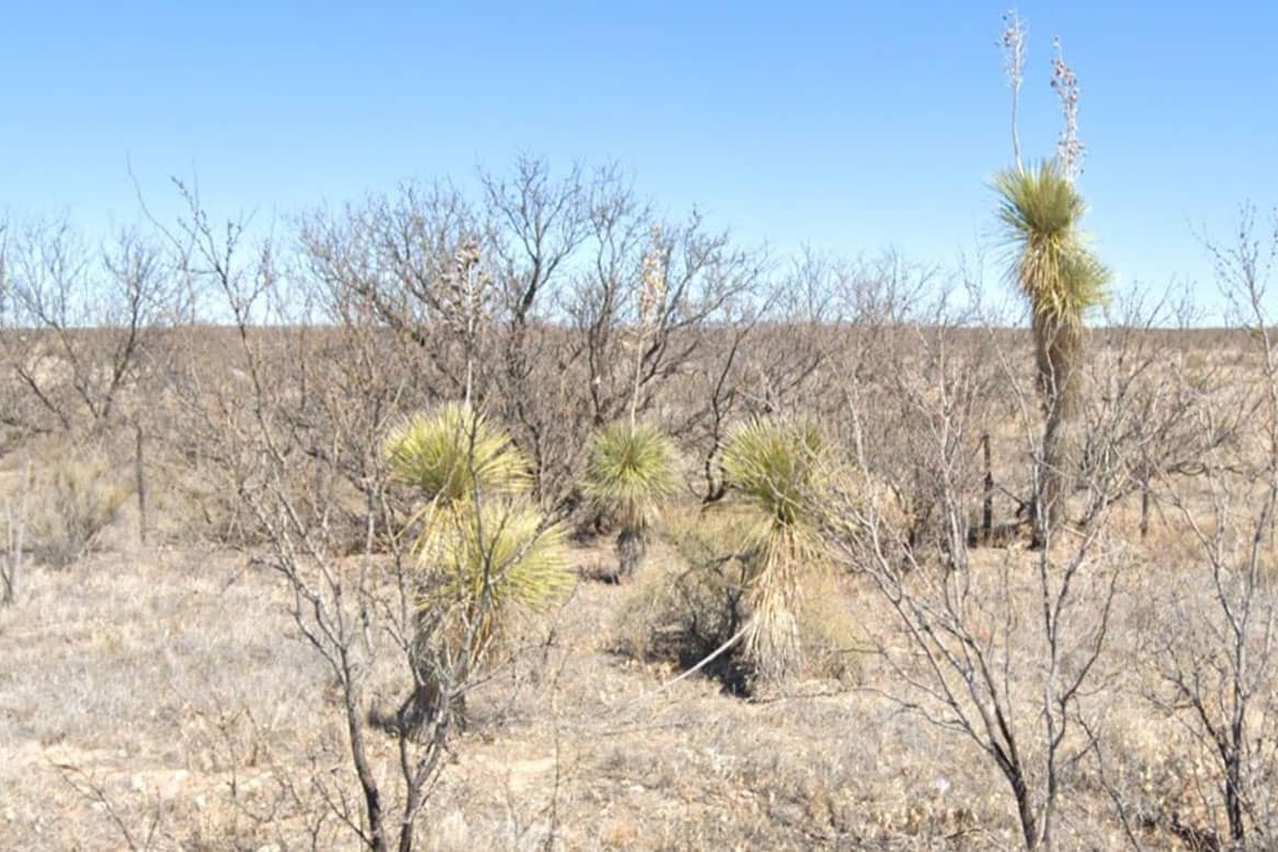 TX-Hudspeth-S951-457-0000-00100