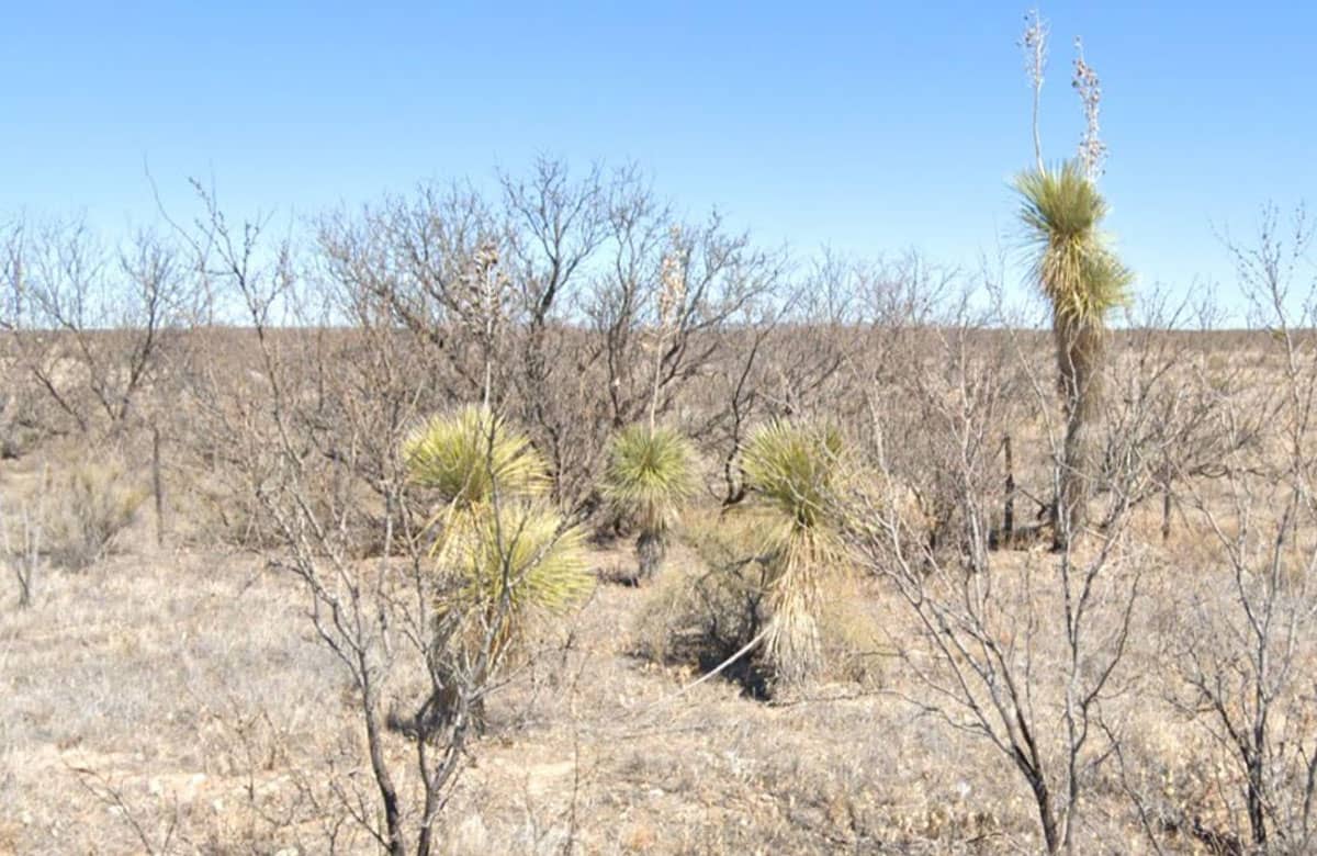 TX-Hudspeth-S951-457-0000-00100